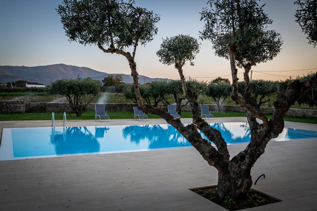 Quinta Das Oliveiras Turismo Rural Fundão Zewnętrze zdjęcie