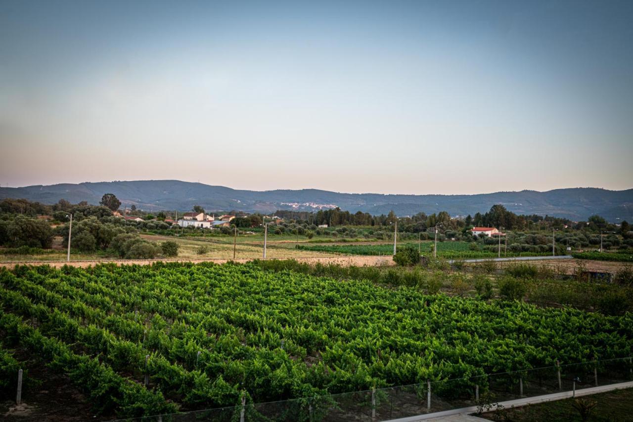 Quinta Das Oliveiras Turismo Rural Fundão Zewnętrze zdjęcie