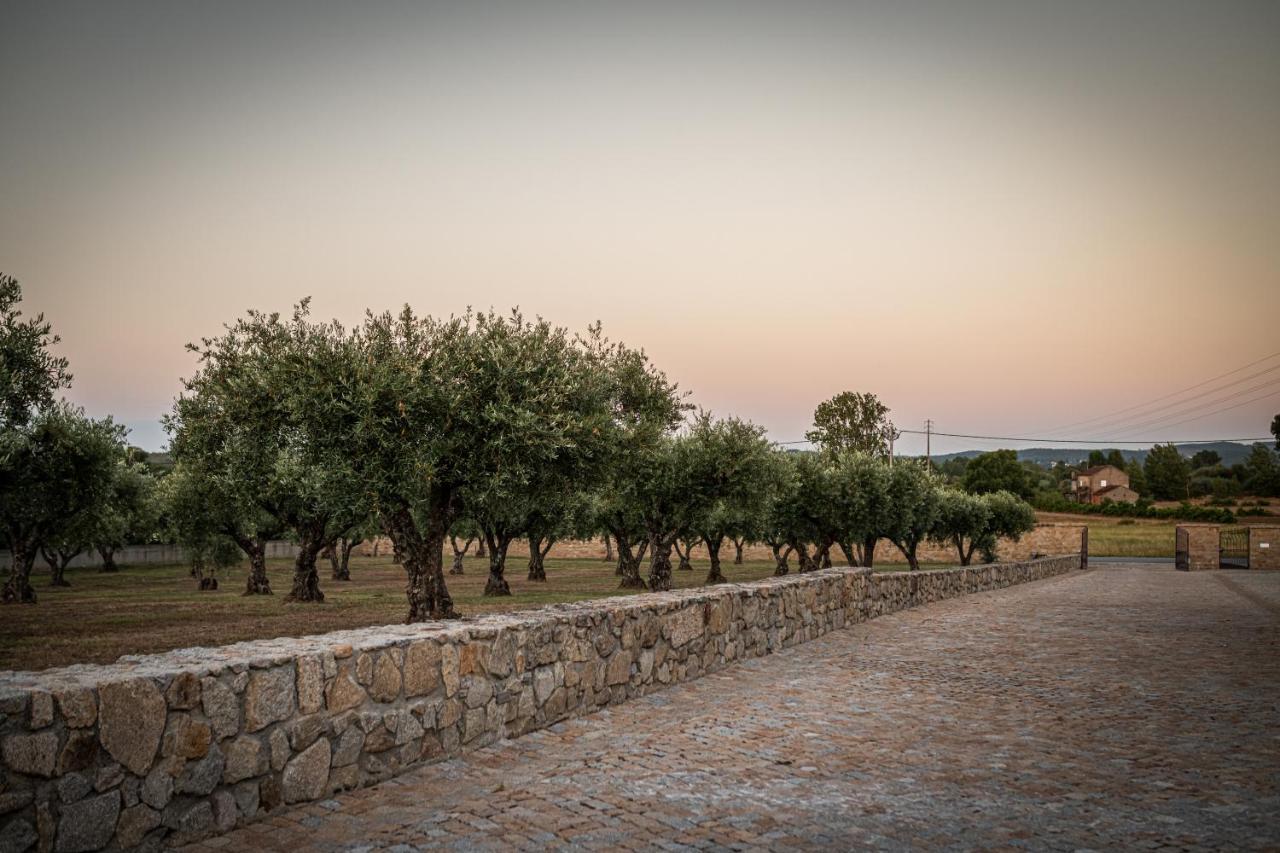 Quinta Das Oliveiras Turismo Rural Fundão Zewnętrze zdjęcie