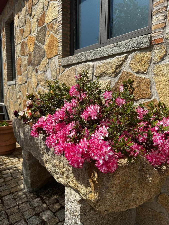 Quinta Das Oliveiras Turismo Rural Fundão Zewnętrze zdjęcie